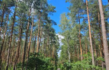 Dom z linią brzegową Narwi 3 - Photo 21