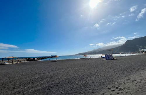 Salitre Tea - Foto 36