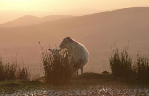 Nest Holiday Hideaway Dove Cottage-Beautiful Location in the Long Mynd Area of Outstanding Natural Beauty-WHIRLPOOL JACUZZI BATHS!! - Foto 32