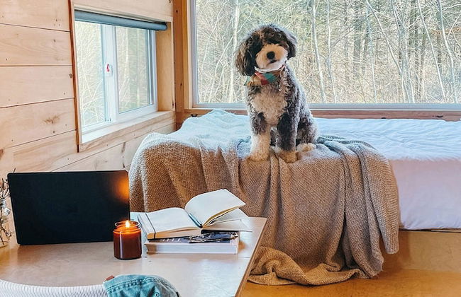 Postcard Cabins Skagit Valley, Outdoor Collection by Marriott Bonvoy - Photo 2