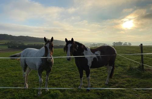 Holzhaus Onkel Fritz mit Sauna und Whirlwanne - Foto 25
