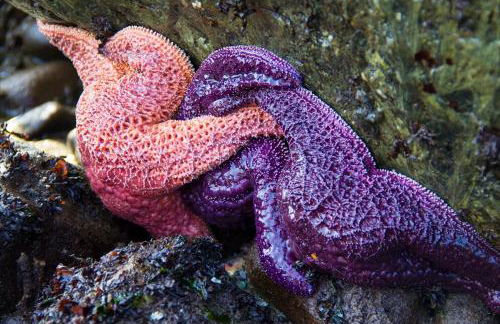 TideAway Farm on Private Island! Escape & Indulge Mother Nature! - Foto 23