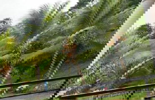 Prestige Beach Residence - Foto 14