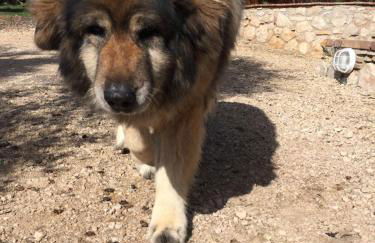 I Giardini Di Margius - Foto 74