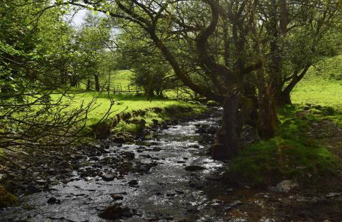 Healing Pastures Farm - Foto 31