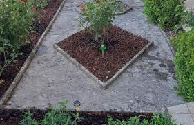 Casa do Vicente - Foto 14