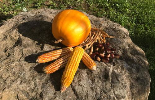 Ca Rifo, casa rural en Asturias, puerta de Somiedo a orillas del río Narcea - Foto 46