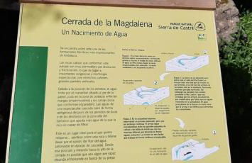 El Almendro de Fuentes Nuevas - Foto 59