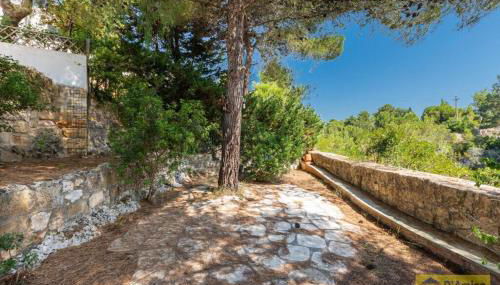 Villa Gaia - Foto 2, Garden