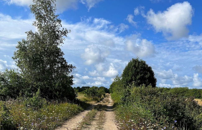 6 Person Holiday Home in Klintehamn-by Traum - Foto 16