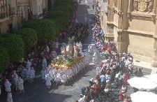 Catedral Plaza - Foto 21