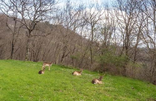 Il Casale Mugello - Affitti Brevi Italia - Foto 32
