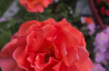 Αρχοντικό Παπανικολάου - Foto 41