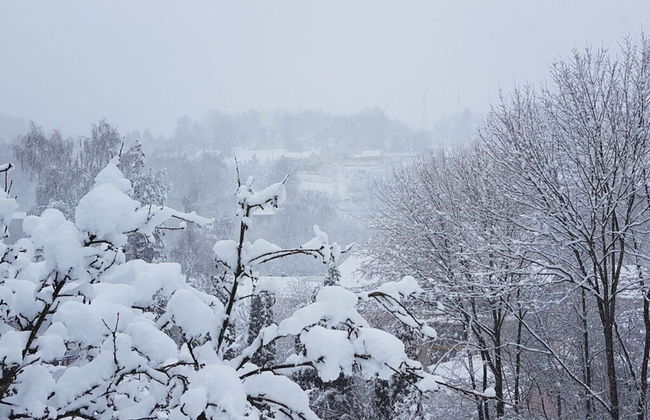 Vakantieappartementen Ender - Foto 20