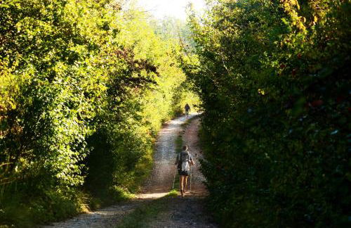 Agriturismo Fattoria Aquilone - Foto 13