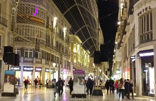 Apartamentos AS Málaga Centro Histórico - Photo 24