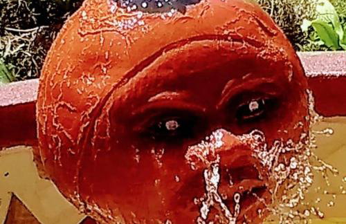 Sítio das Imbiribas Natureza em Igarassu - Foto 25