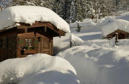 Malerhausl Modern Retreat - Foto 37