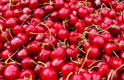 Trulli di Titti - Luxury Country House - Foto 17