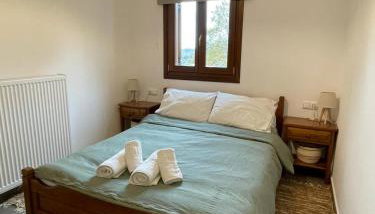 Pelion Roots - Photo 5