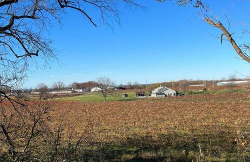 Spacious 5 BR Home w/ Hot Tub - Foto 11