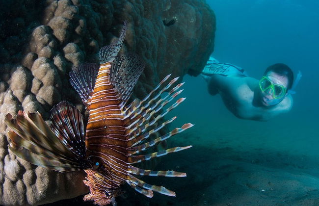 Cabo Beach Villas - Photo 11