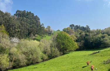 Casa Kirana - Habitaciones - Foto 26