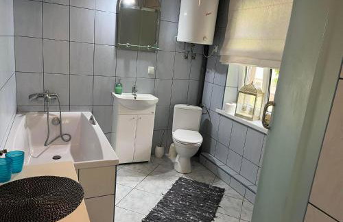 Drewniany Domek w Zakątku Andrzeje Śniczany 18 - Photo 40