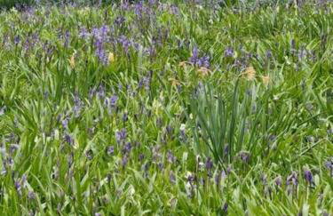 The Garden Flat - Ardullie Lodge - Photo 10