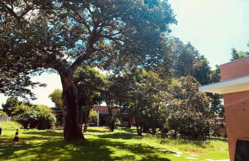 Chácara Ecológica e Sustentável - Photo 36