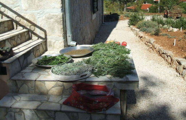 House Pod Humom - Foto 30