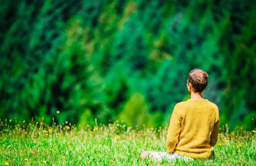 Berggasthaus Braunbergstüble - Foto 15