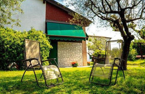 GATTO IN VIGNA - Foto 14