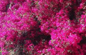 Panos and Chrisas House - Foto 31