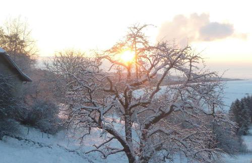 Ferienwohnung Rudigier - Foto 26