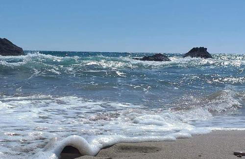 Harmony Corfu Apartments & Studios - Foto 64