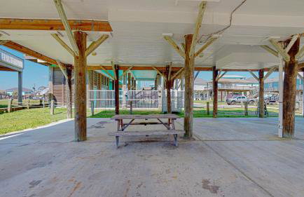 Lime in the Coconut - Foto 26