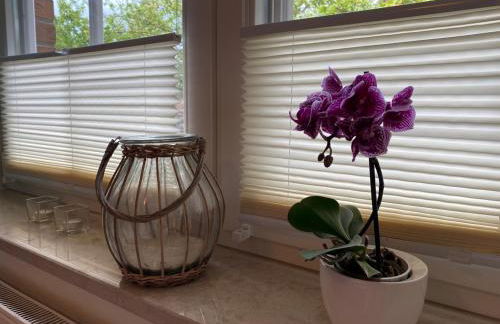 Haus Jenny Wohnung E1 mit Terrasse - Photo 24