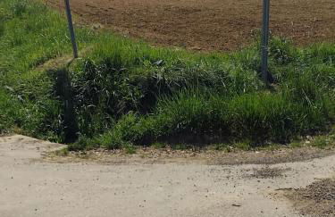 gite la bergerie - Foto 3