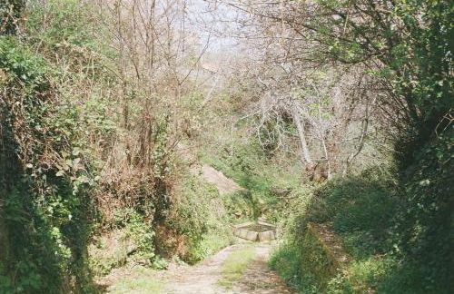 Casa do Sobrado-Gralhas-Montalegre - Photo 22