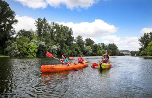 Grande Maison de famille, 12pers, Piscine privée, Vallée du Lot & Bastides - Foto 53