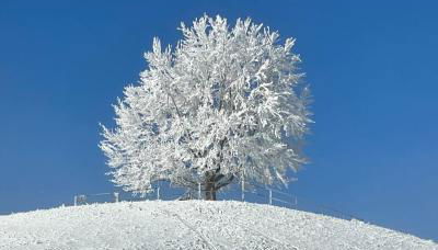 Am Kohlenberg - Foto 4