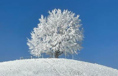 Am Kohlenberg - Foto 4