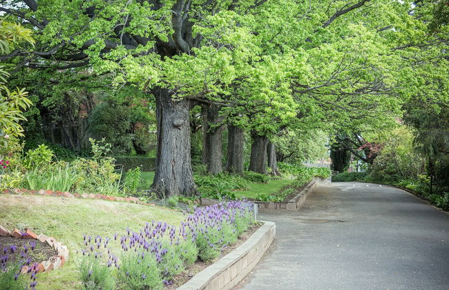 Graham Apartments - Foto 48