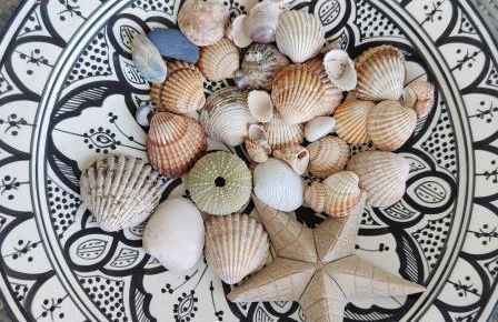 Frontline Beach Apartment, La Perla de la Bahia, Bahia de Casares - Estepona - Photo 47