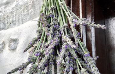 Stonehouse - The Secret Place - Foto 42