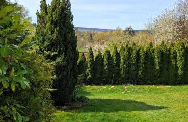 Auszeit im Jugendstil - Foto 10