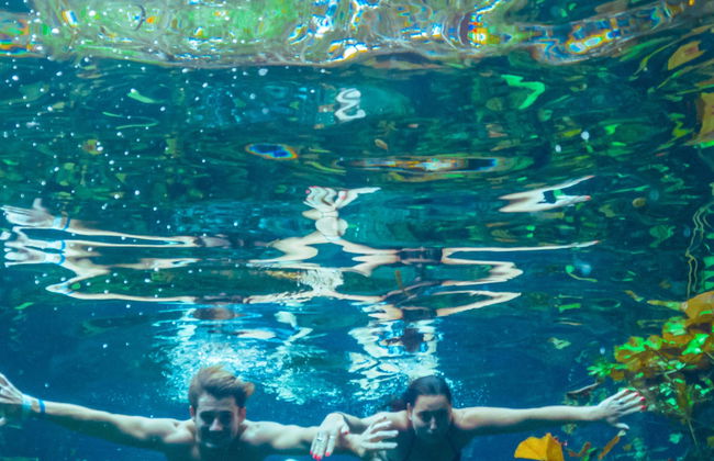 Tulum Horse Riding Tour + Maya Cenote Snorkelling - Foto 1