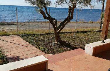 George's House - Foto 6