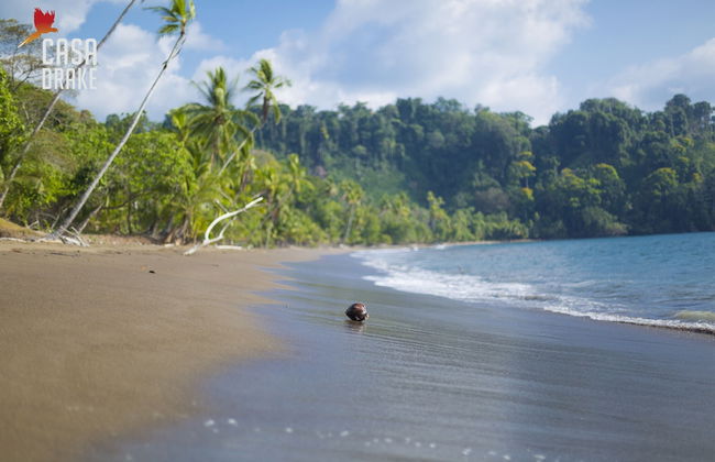 Room-private Honeymoon Bungalow - Foto 14